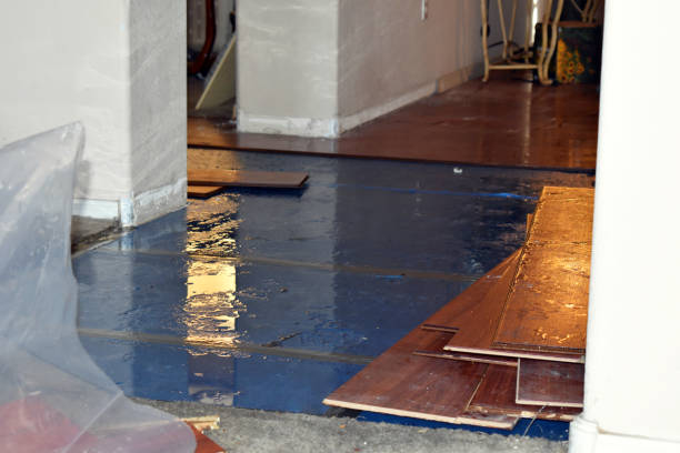 Professional Flood Cleanup technician working in Clinton, MI